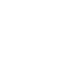 Experienced Professionals